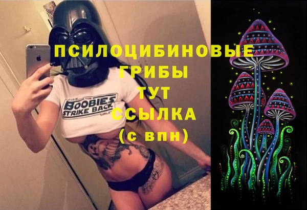 прущий лед Алзамай